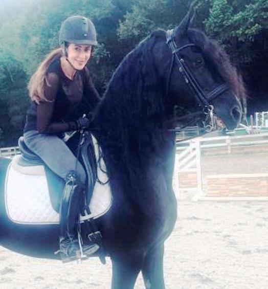 Friesian Martin STER - Sold