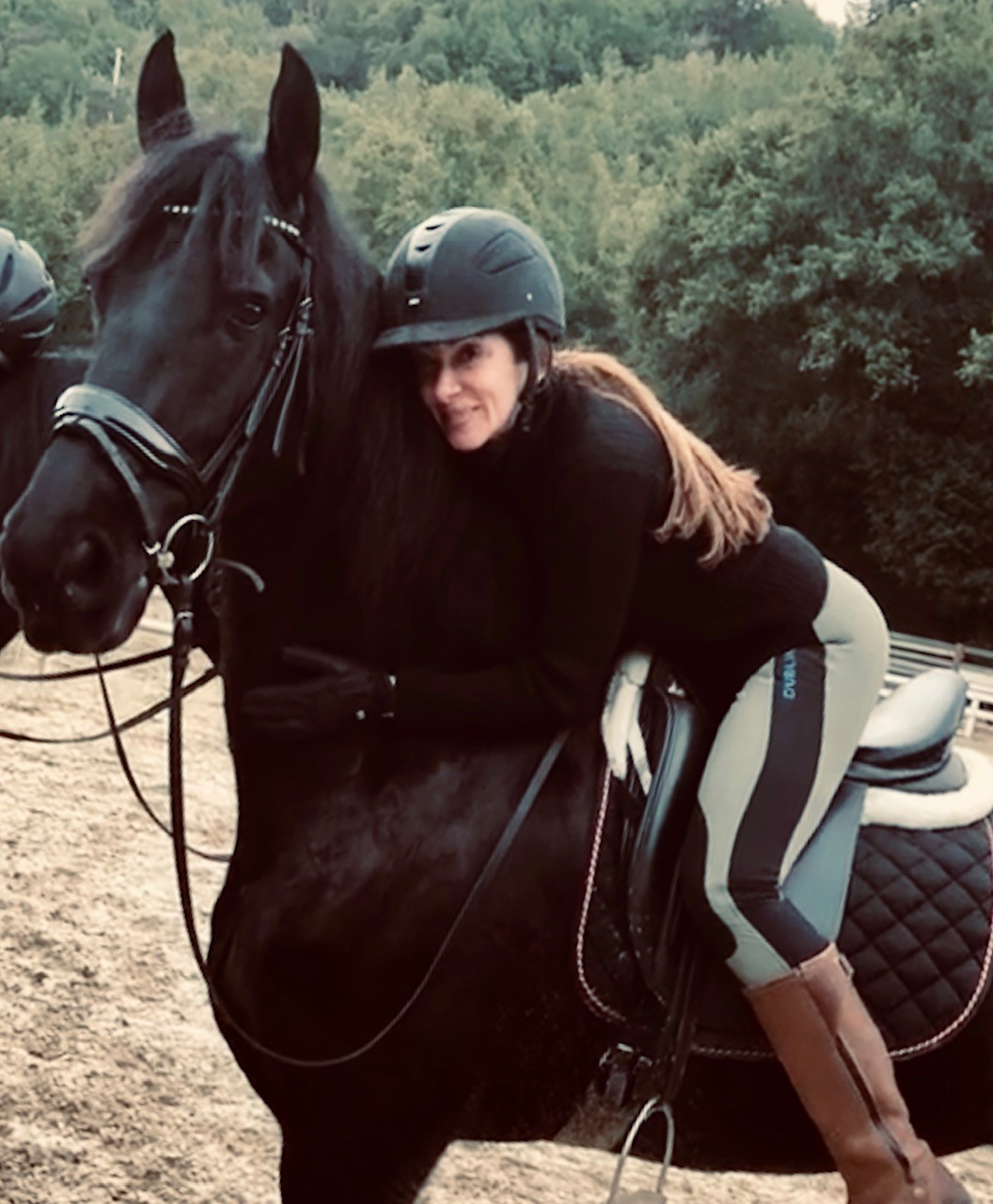 Friesian Atticus STER - Sold