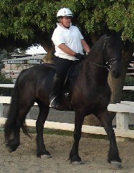 Friesian Bas - Sold