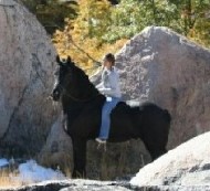 Friesian NATE - Sold