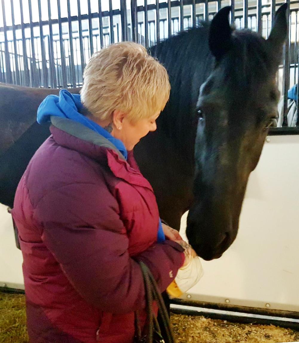 Friesian MAX BSF - Sold