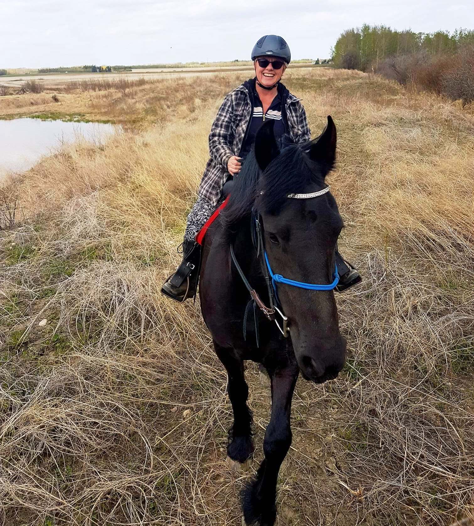 Friesian MAX BSF - Sold