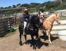 Horse Show - 2015 All Womens Trail Ride Camping Weekend
