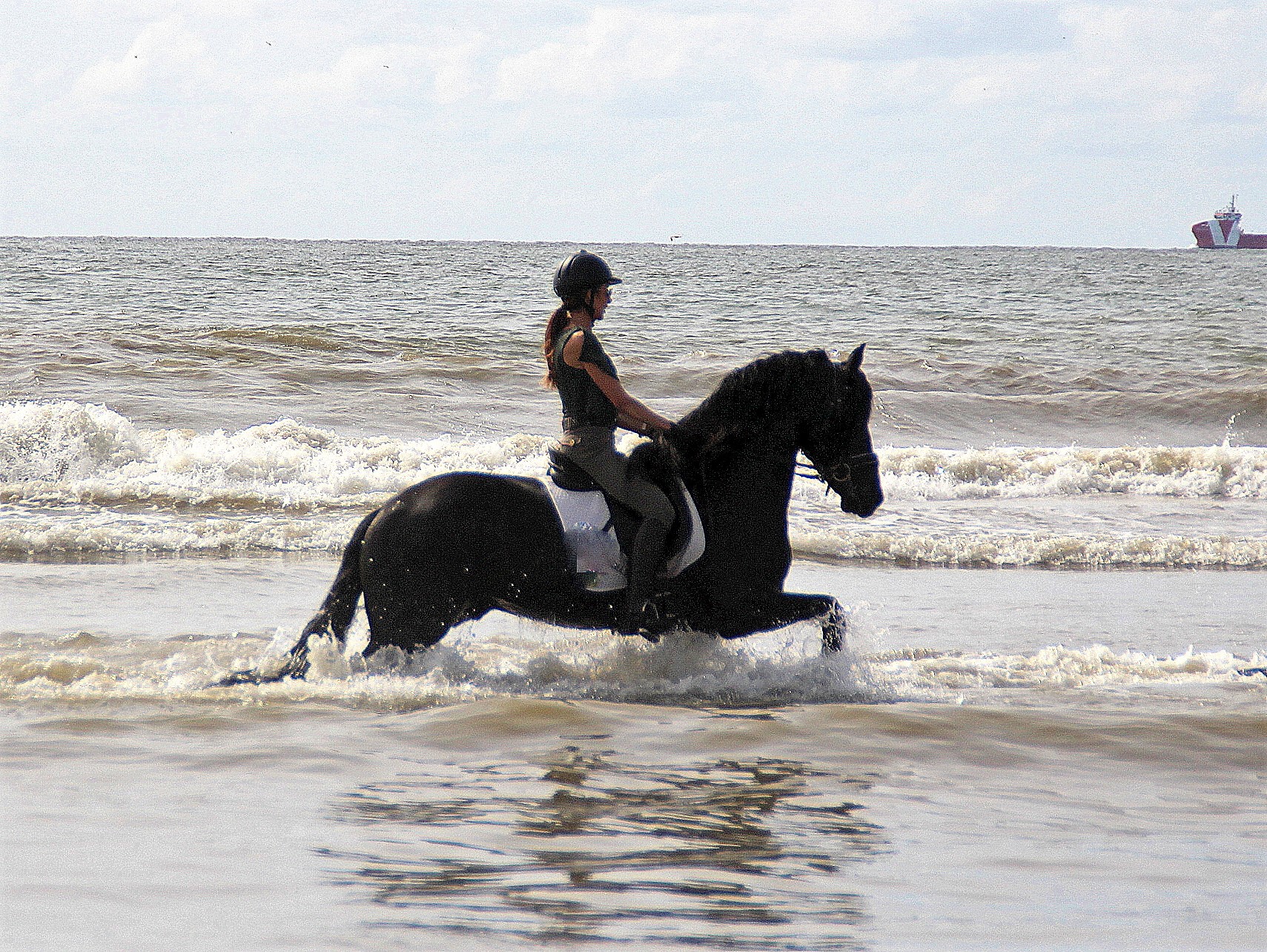 Friesian Tabe - Sold