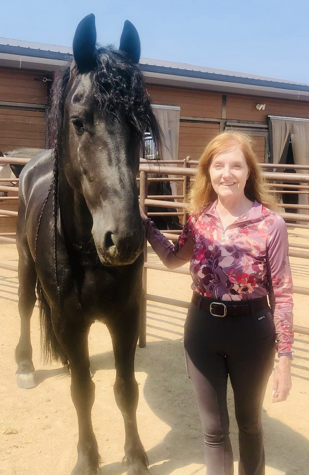 Friesian Olle - Sold
