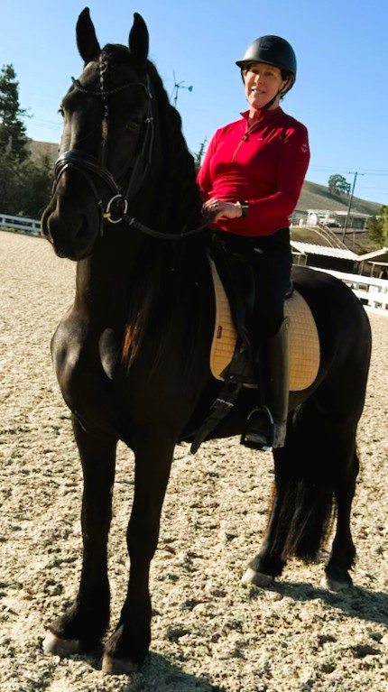 Friesian GIVENCHY - Sold