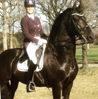 Friesian BENKE SPORT - Sold