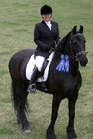 Friesian Petra BSF - Sold