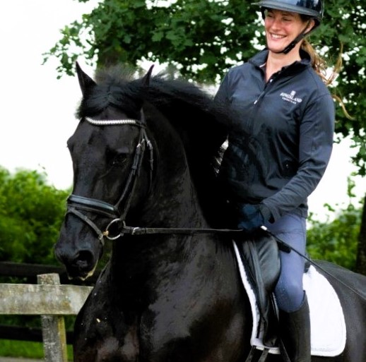 Recently Sold Friesian CRISTIANO 