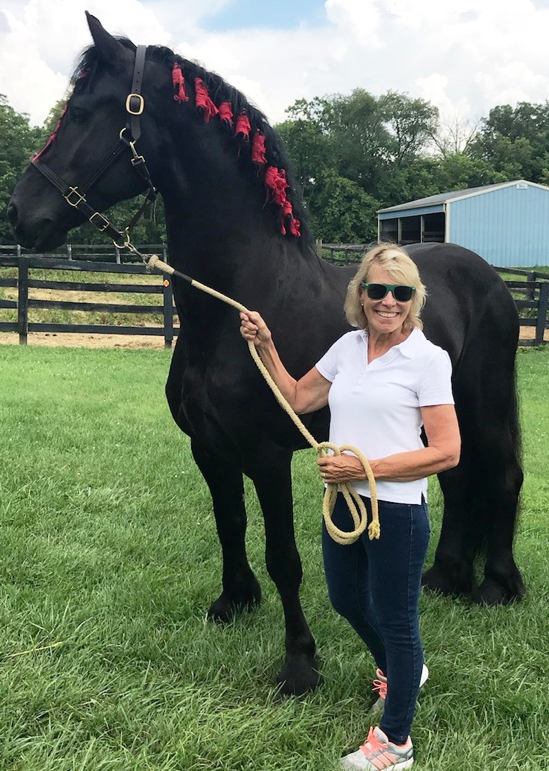 Friesian JACK BLACK STER - Sold