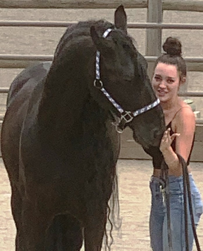 Friesian OEDSE BSF  - Sold