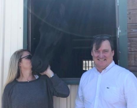 View Friesian horse purchasing details for HOUSTON