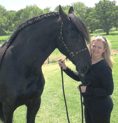 View Friesian horse purchasing details for VERDI