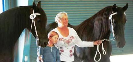 View Friesian horse purchasing details for VALENTINA