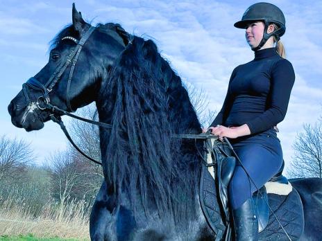 View Friesian horse purchasing details for BARTOLO