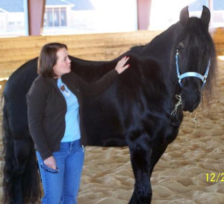 View Friesian horse purchasing details for Annette