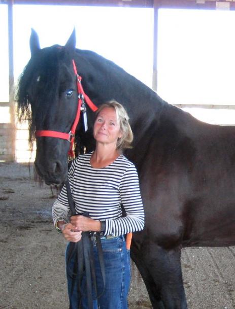 View Friesian horse purchasing details for JOLANDA