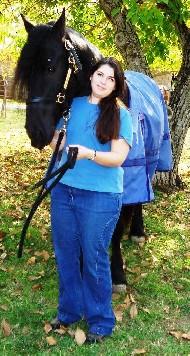 View Friesian horse purchasing details for Jannes