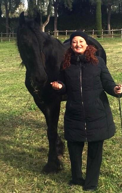 View Friesian horse purchasing details for Gable