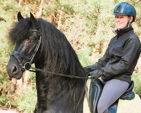 View Friesian horse purchasing details for JET