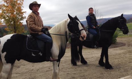 View Friesian horse purchasing details for Rutger