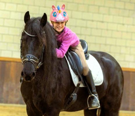 View Friesian horse purchasing details for MADDOX