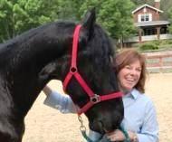 View Friesian horse purchasing details for Mark Hendrik