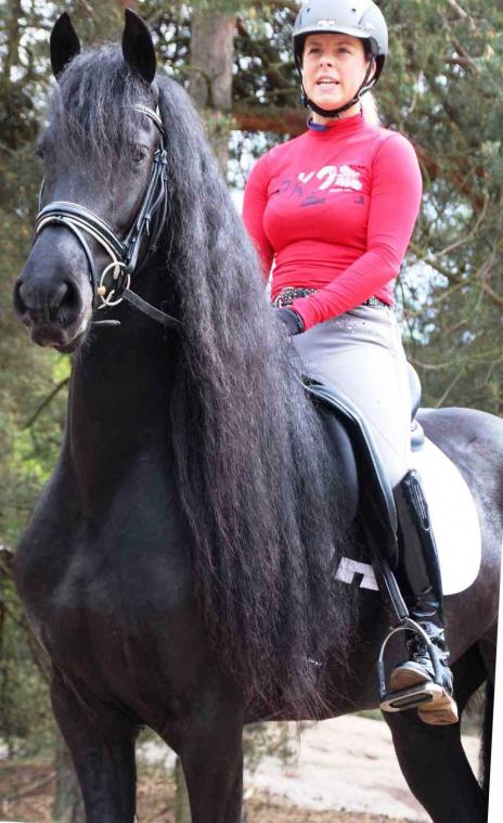 View Friesian horse purchasing details for Meriva STER