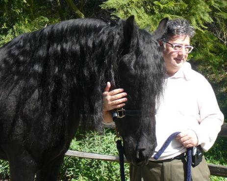 View Friesian horse purchasing details for Orpheus