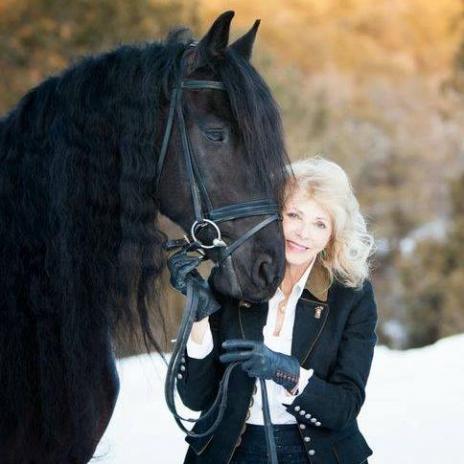 View Friesian horse purchasing details for Amaretto