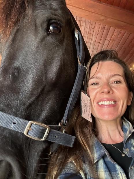 View Friesian horse purchasing details for ANALISA