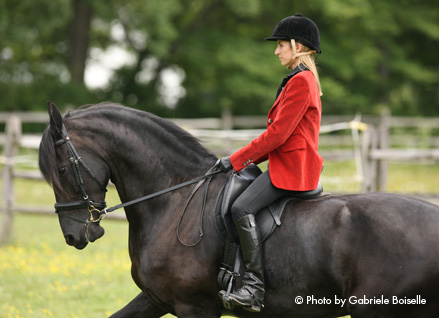 Friesian Ursula - Sold