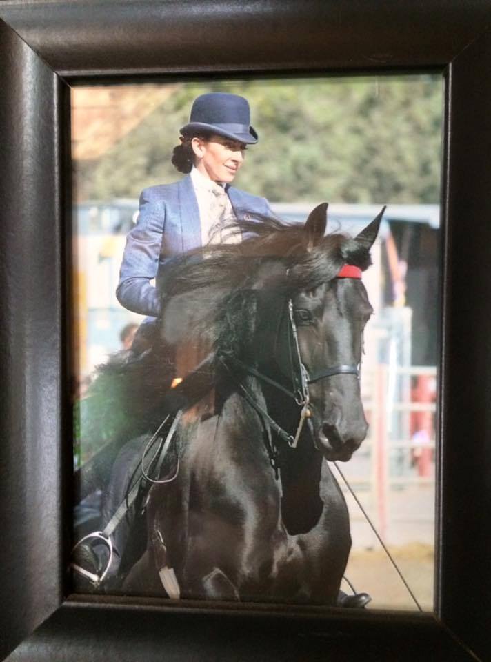 Friesian Zenobia STER - Sold