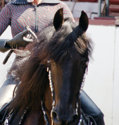 Passing of a Legend - Black Sterling