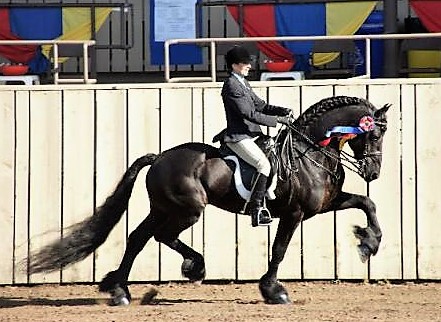 Featured Image for Show