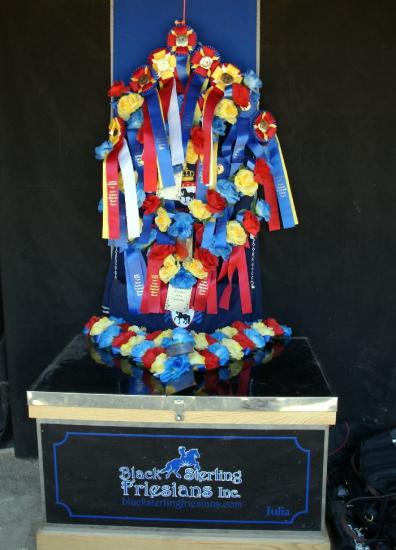 Featured Image for Show