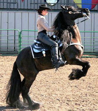 Featured Image for Show