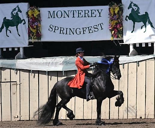 Featured Image for Show