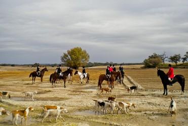 Featured Image for Show