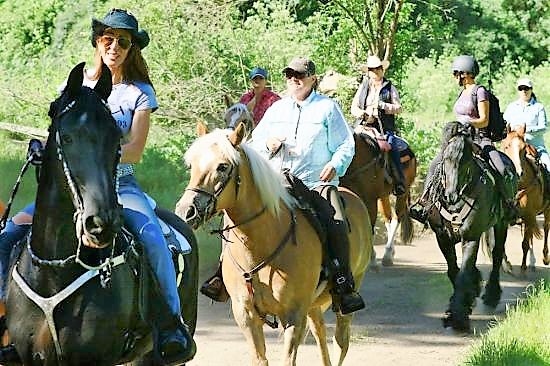 Featured Image for Show