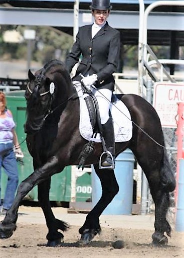 Featured Image for Show