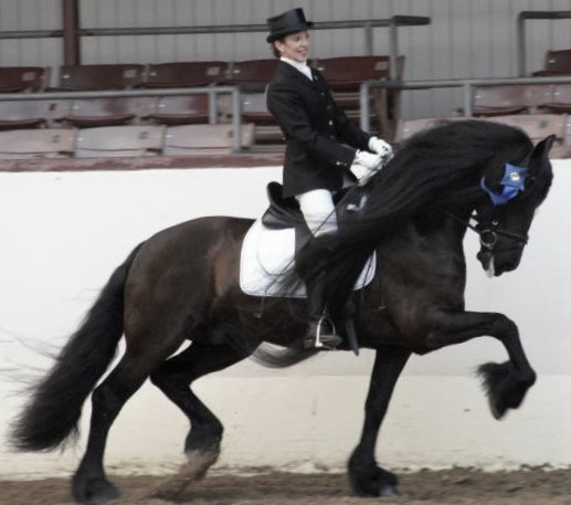 Featured Image for Show