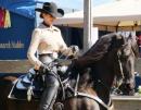 Horse Show - Monterey Springfest 2009