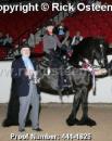 Horse Show - FHANA President's Trophy Winner!!!