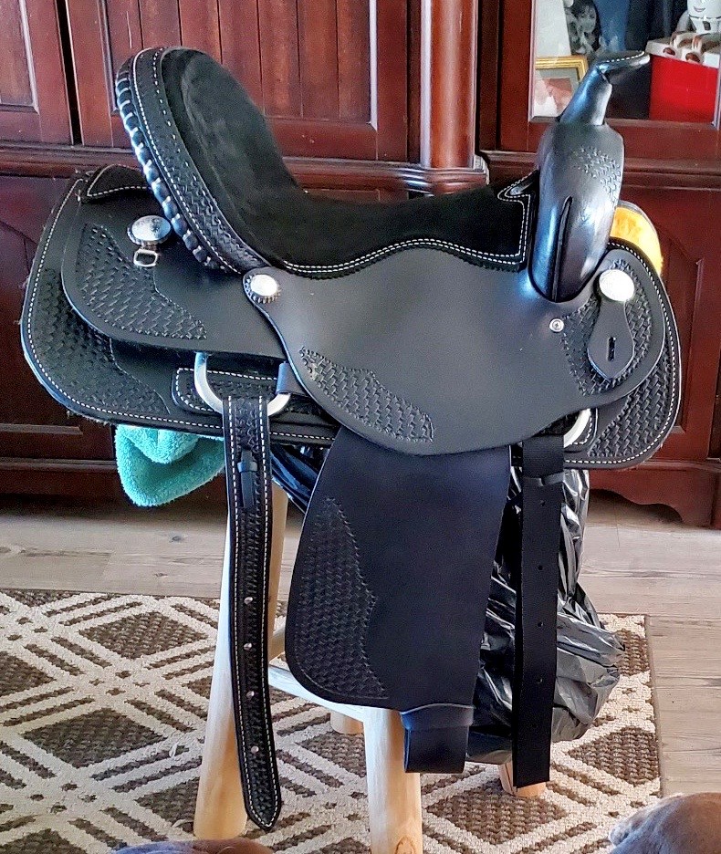 Tack - Friesian Saddles, Bridles, and Accessories for Sale